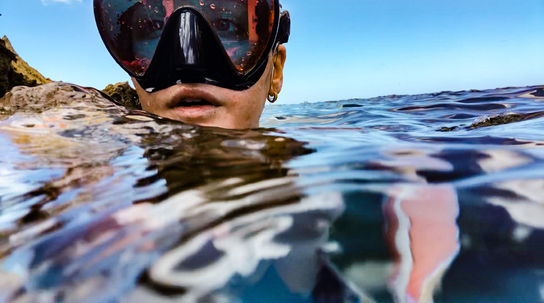 Jessica Ripp Sharks Cove