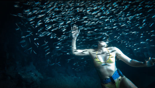 Jessica Ripp Sharks Cove