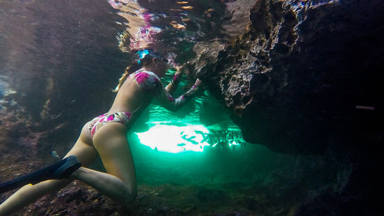 Sharks Cove Jessica Ripp