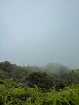 F4235143-9F49-4612-8A66-DD6B885D60C6.jpeg