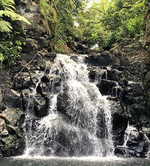 kalihi ice ponds.jpg