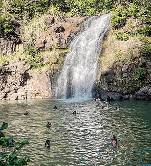 E6A22F25-3698-4ABF-A945-1A678C03768D.jpeg