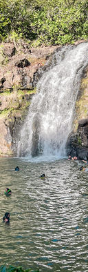 E6A22F25-3698-4ABF-A945-1A678C03768D.jpeg