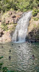 E6A22F25-3698-4ABF-A945-1A678C03768D.jpeg