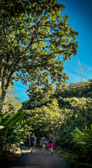 D02E8CE2-37FD-4F17-8810-5E2643734884.jpeg
