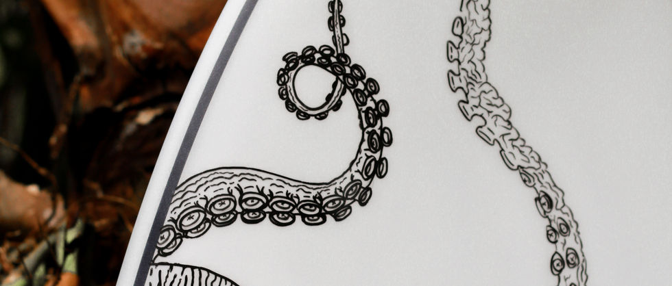 ripptide surfboard art, firewire rob machado + lft surfboards