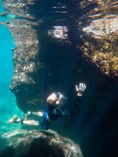 Sharks Cove Jessica Ripp