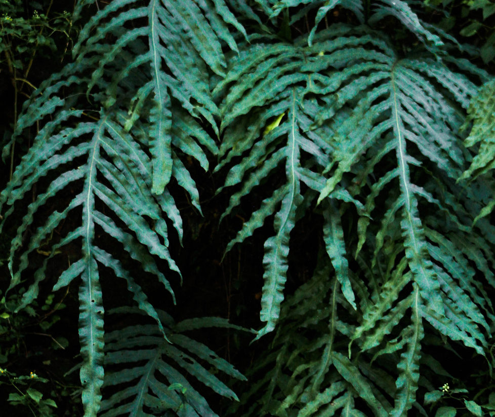 BB083F0F-A14E-4323-A592-3415CEAF195E.jpeg