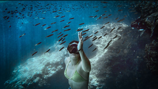 Jessica Ripp Sharks Cove