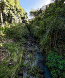141BE6FD-5C2B-4769-82E7-249B85320694.jpeg