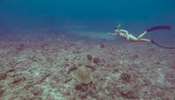 783EE601-1102-49D6-97D9-DCE06280B136.jpeg