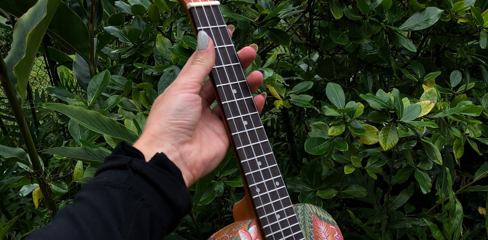 ukulele art, jessica ripp, ripptide art, posca art, oahu, hawaii, tropical, one of a kind