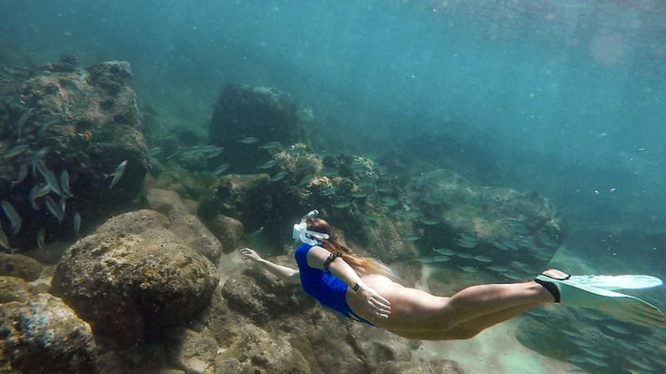Waimea Bay Snorkeling
