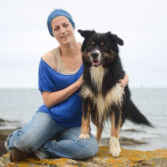 les bienfaits des soins énergétiques pour animaux