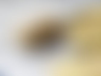 Keeping Your Online Data Safe