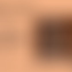 February 11, 2024 Who Is Jesus? "The True Vine"