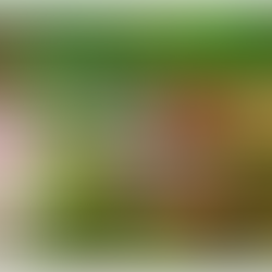 "An Adventure to Japan’s Remote Countrysides & Gardens " - Brotherhood Dinner Meeting