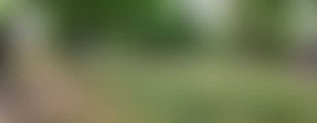 Thank you! Fantastic "Worship on the Green"