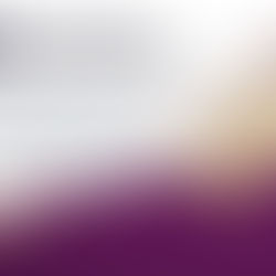 May 9, 2021 Service: Encountering the Resurrected Christ: Feed My Sheep (Replay)