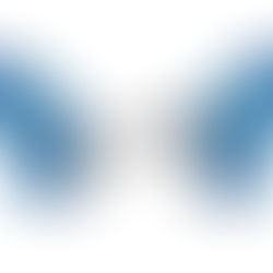 WINGS Activities & Circles 2023-2024