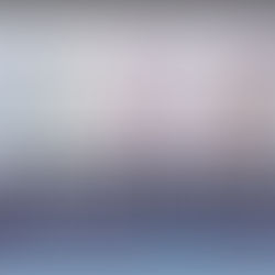 Brief Bible Dive with Pastor Nik