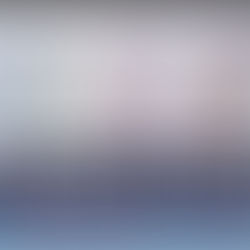 Brief Bible Dive with Pastor Nik