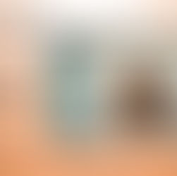 August 25, 2024 The Holy Trinity—“God the Son”