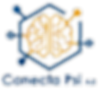 logo conecta.jpg
