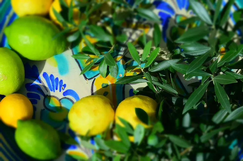 citron-2.webp