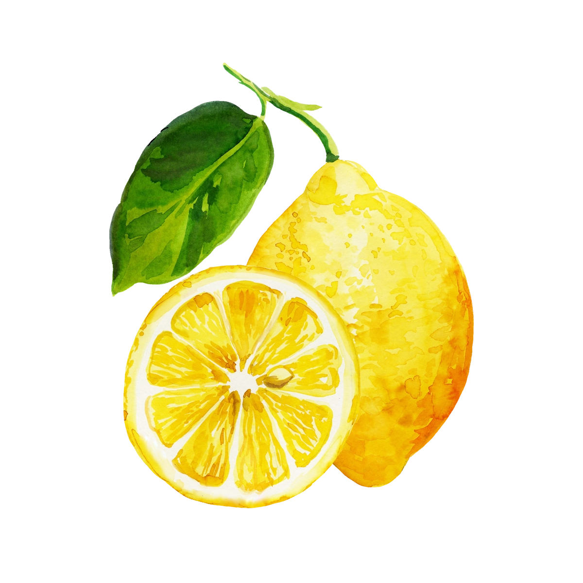 citron_aquarelle.webp