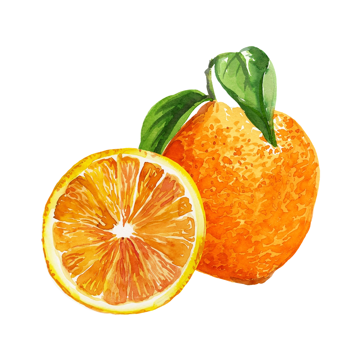 orange_aquarelle.webp