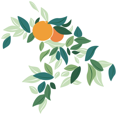 Feuilles d'oranger