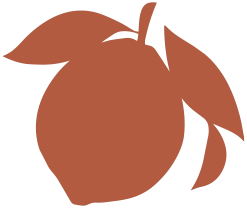 Citron Ruiz Agrumes