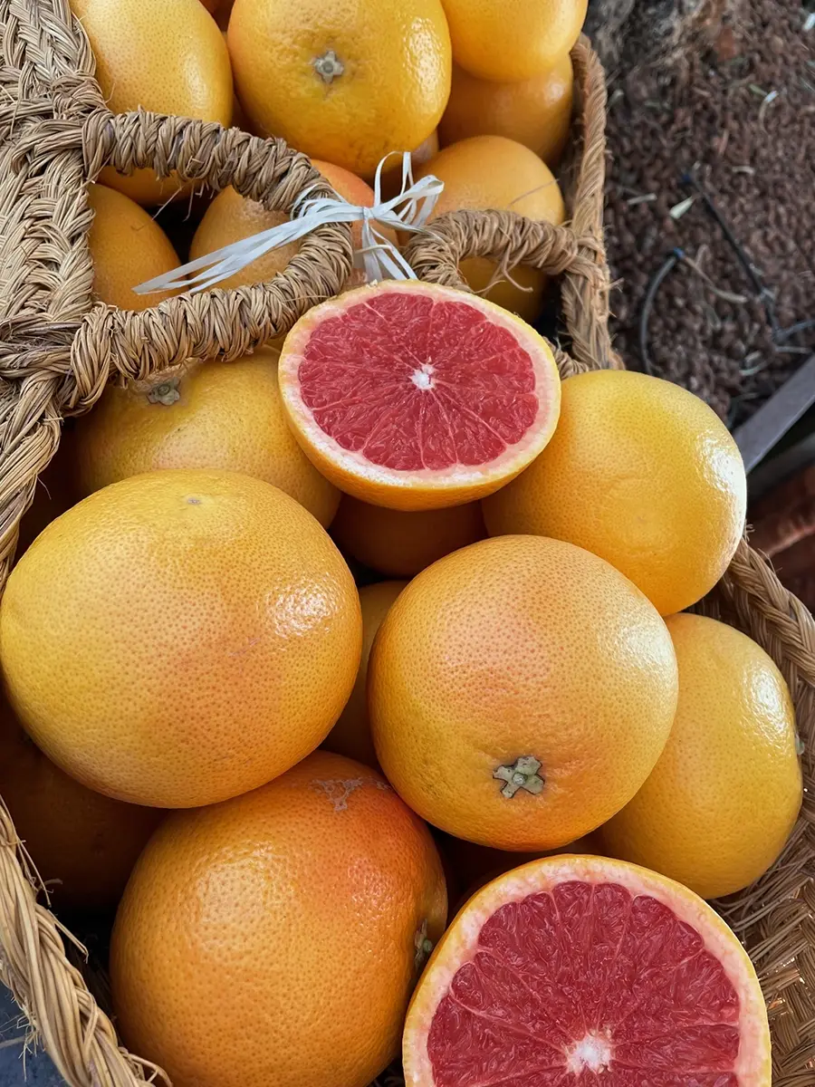 pomelos-2.webp