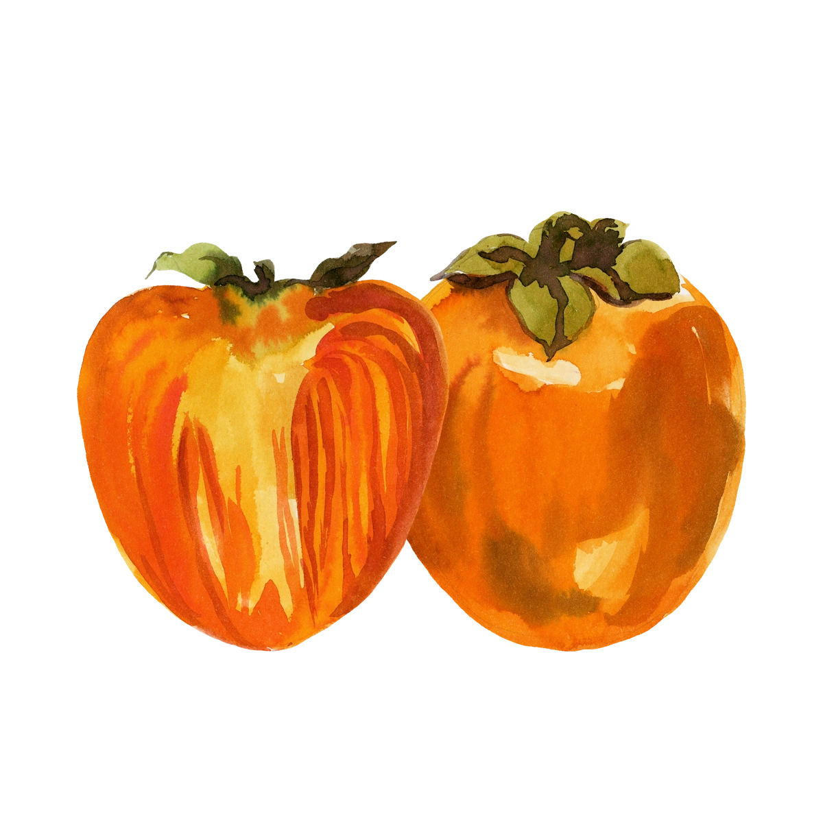 kaki_aquarelle.webp