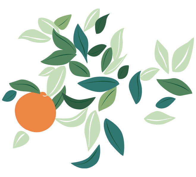 Feuilles d'oranger