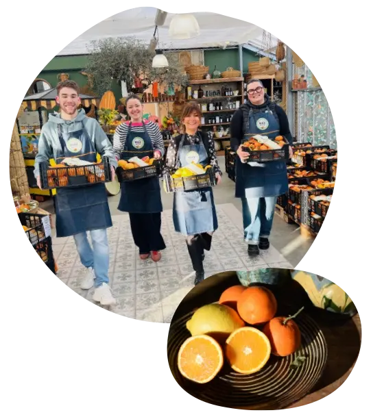 Les boutiques Ruiz Agrumes