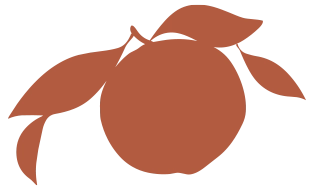 Orange Ruiz Agrumes