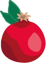 Grenade Ruiz Agrumes