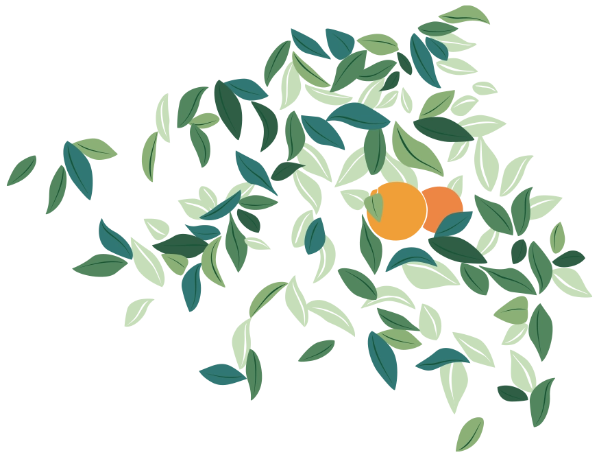 Feuilles d'oranger