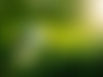 La Energía Verde: Un Compromiso Colectivo por un Futuro Sostenible