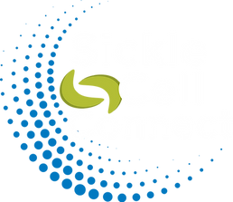 SCD_Wordmark_BlueWhiteText_NoShadow (2).