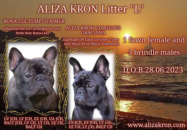 Aliza Kron prezent litter L.jpg