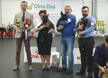 2019_03_04%20Best%20kennel%20NBBTK_edite