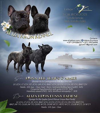 Aliza Kron prezent litter K.jpg