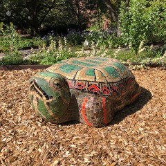 Tyler the Turtle at the Growing Center