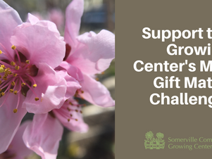 April Matching Gift Challenge Success! Plus, a New Challenge and Raffle Drawing for May!