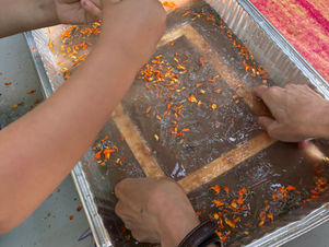 Children in Nature Quarterly: Summer in the Garden!