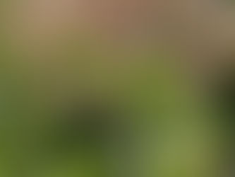 Pretty in Pink at the Growing Center