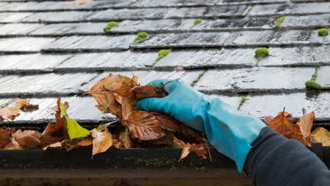 Tips For Spring Roof Cleaning